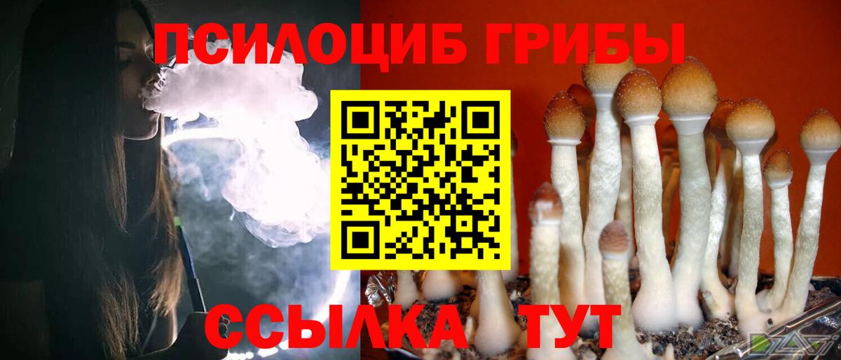 Галлюциногенные грибы MAGIC MUSHROOMS  Вход с VPN  Березники  Псилоцибиновые грибы GOLDEN TEACHER 